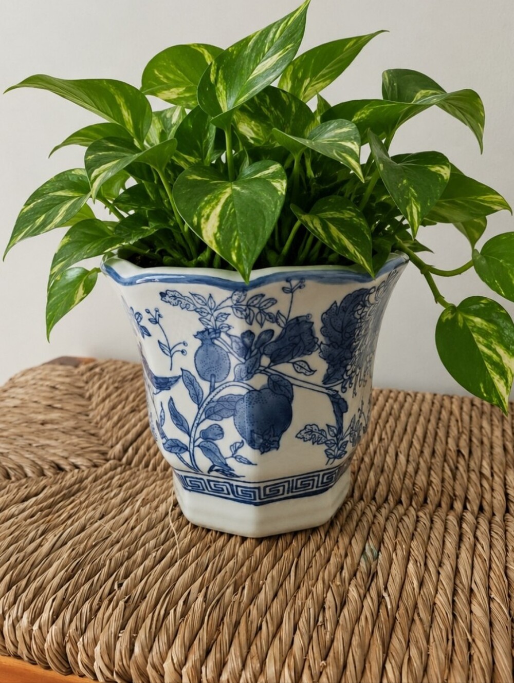 Blue Floral Ceramic Planter Pot - White and Blue Glass